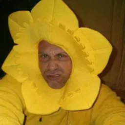 matt fellows - comedian