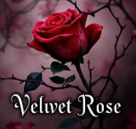 Velvet Rose - comedian