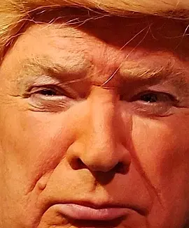 President Trump - comedian
